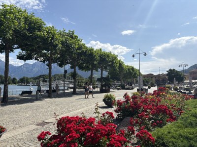 Villa Villa Serenity - Environment photo 26