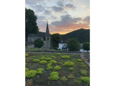 Apartment Appartement/Fewo, Dusche und Bad, WC, Erdgeschoß/P - Outdoor photo 31