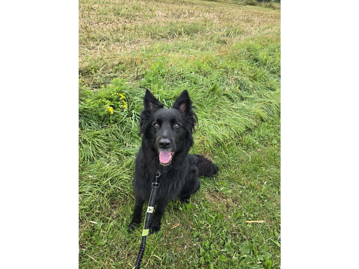 Apartment Appartement/Fewo, Dusche und Badewanne, 2 Schlafrä - Outdoor photo 3