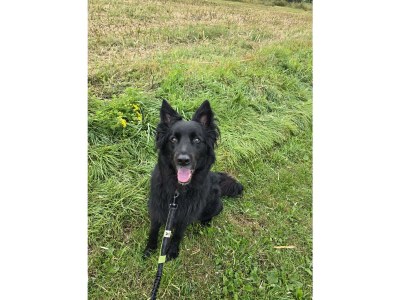 Apartment Appartement/Fewo, Dusche und Badewanne, 2 Schlafrä - Outdoor photo 3