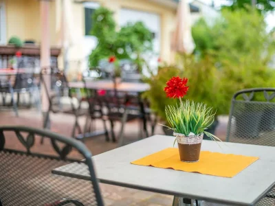 Apartment 2-Bettwohnung "Morgensonne" + "Morgenröte" - Outdoor photo 23