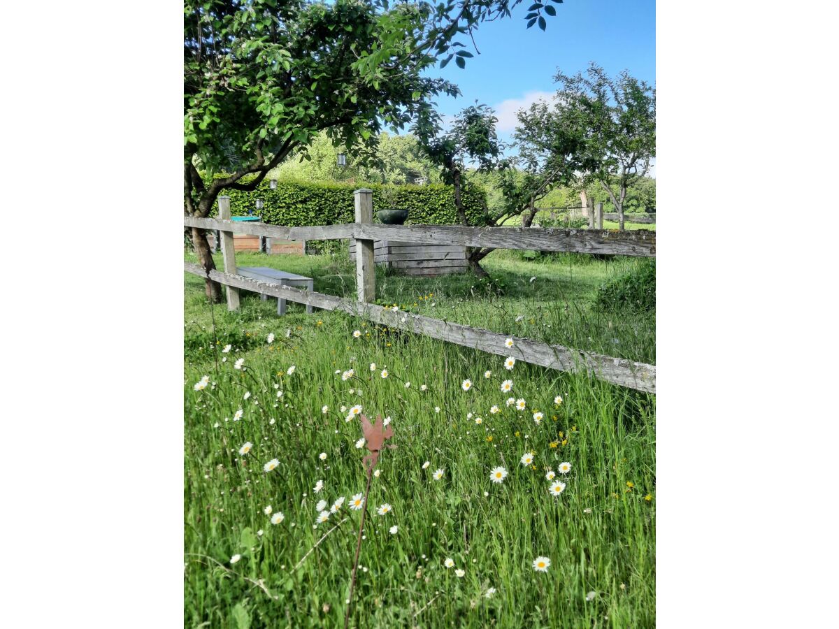 Apartment Appartement/Fewo, Bad, WC, 1 Schlafraum - Outdoor photo 3