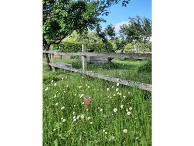 Apartment Appartement/Fewo, Bad, WC, 1 Schlafraum - Outdoor photo 3