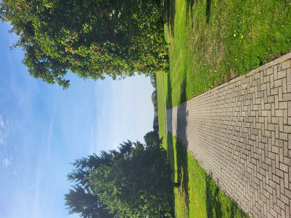 Apartment Ferienwohnung Familiennest-Eifel - Outdoor photo 4