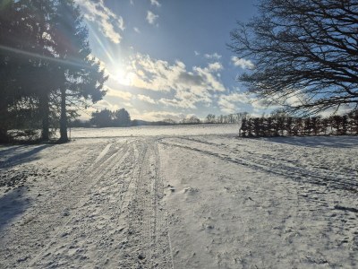 Apartment Ferienwohnung Familiennest-Eifel - Outdoor photo 6