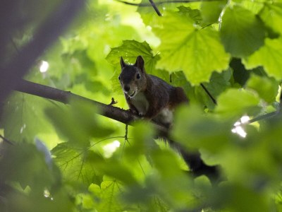 Apartment Ferienwohnung Familiennest-Eifel - Outdoor photo 7