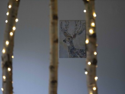 Apartment Ferienwohnung Familiennest-Eifel - Features photo 14