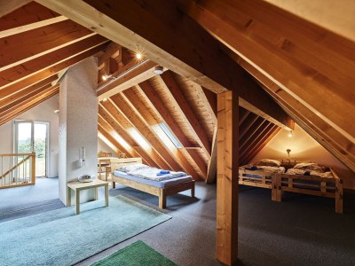 Apartment 10-Bett-Haus Eifelsonne - Features photo 22