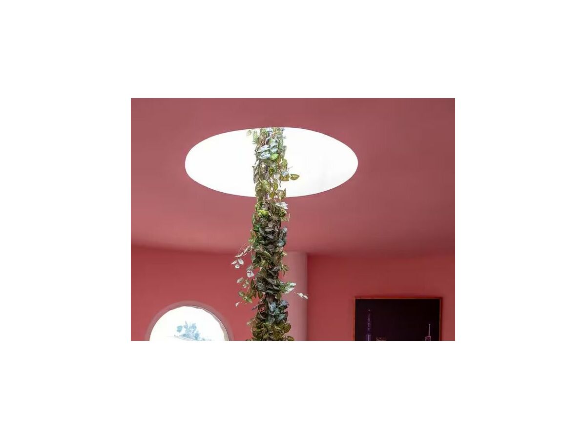 Holiday house Villa flamingo súper lujo - Features photo 5