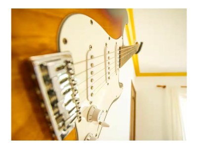 Holiday house Luxurious villa by Versace - Features photo 23