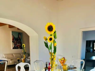 Holiday house Villa Copacabana súper lujo - Features photo 50