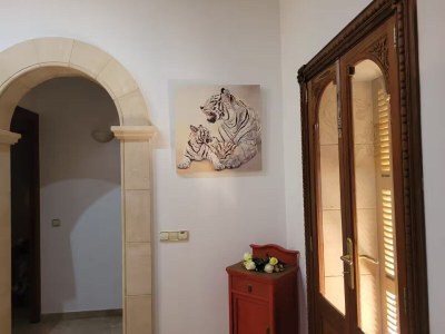 Holiday house Villa la Pleta, super luxury - Features photo 38