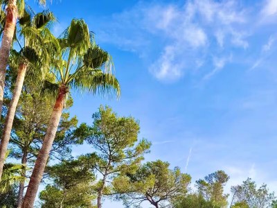 Holiday house Villa la Pleta, super luxury - Environment photo 63