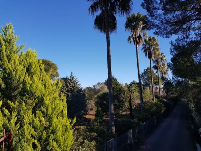 Holiday house Villa la Pleta, super luxury - Environment photo 67