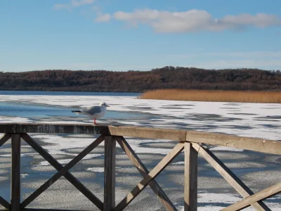 Holiday apartment Strandeck-Sinfonie - Environment photo 18