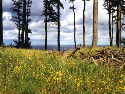 Holiday apartment Strandeck-Sinfonie - Environment photo 19