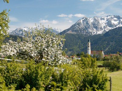 Holiday apartment am Buchbrunnen - Environment photo 30