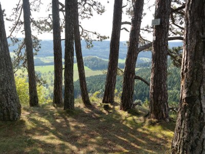 Holiday house No title - Environment photo 30