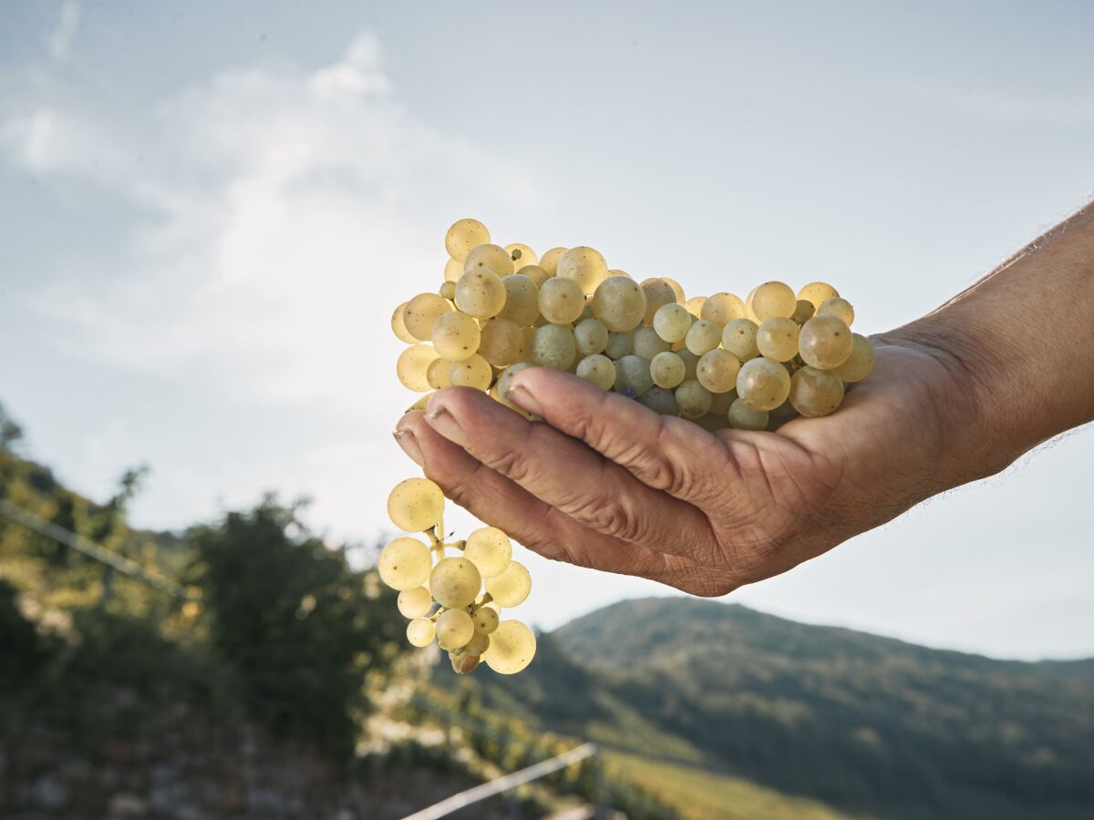 Apartment Appartement Burgberg - Outdoor photo 5