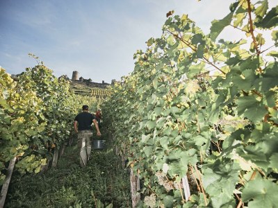 Apartment Appartement Burgberg - Outdoor photo 2