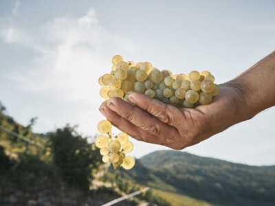 Apartment Appartement Burgberg - Outdoor photo 5