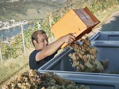 Apartment Appartement Burgberg - Outdoor photo 7