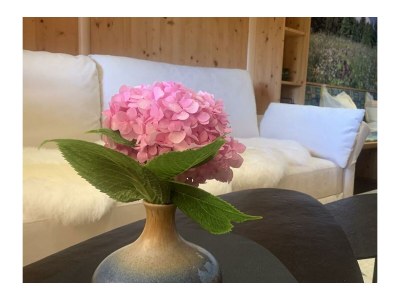 Apartment Ferienhaus, Dusche und Bad, WC, 1 Schlafraum - Features photo 18