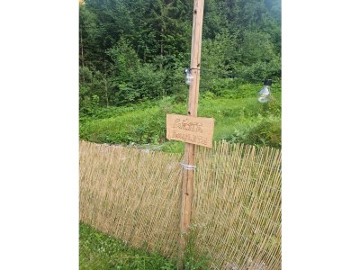 Apartment Appartement/Fewo, Bad, WC, 2 Schlafräume - Outdoor photo 25