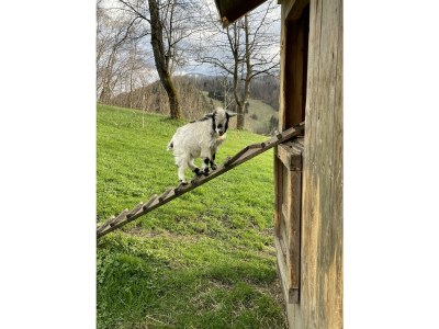 Holiday room Dreibettzimmer, Dusche, WC, Süd - Outdoor photo 4