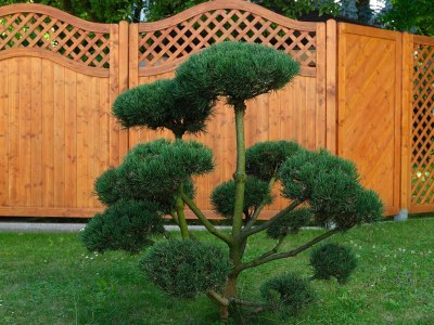 Holiday room Doppelzimmer, Dusche, WC, 1 Schlafraum - Outdoor photo 38