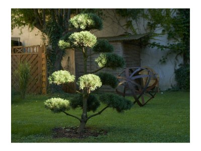 Holiday room Einzelzimmer, Dusche, WC, 1 Schlafraum - Outdoor photo 12
