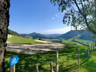 Holiday room Einzelzimmer, Dusche, WC, Wohn-/Schlafraum - Outdoor photo 42