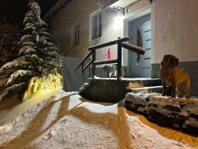 Apartment Appartement/Fewo, Dusche, WC, 2 Schlafräume - Outdoor photo 6