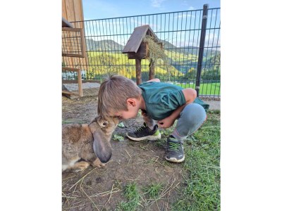 Apartment Ferienwohnung Auszeit - Outdoor photo 11