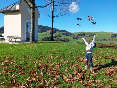 Apartment Ferienwohnung Auszeit - Outdoor photo 13
