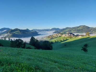 Apartment Ferienwohnung Auszeit - Outdoor photo 17