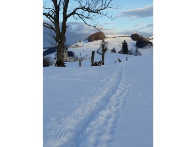 Apartment Ferienwohnung Auszeit - Outdoor photo 22