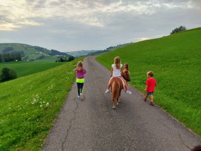 Apartment Ferienwohnung Auszeit - Outdoor photo 24