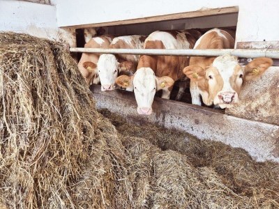 Apartment Ferienwohnung Auszeit - Outdoor photo 27