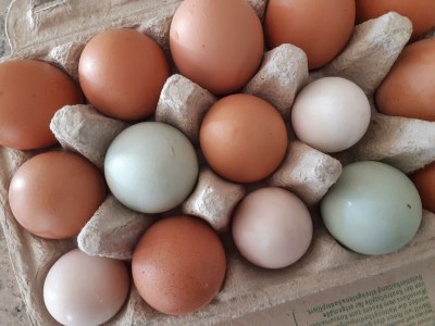 Apartment Ferienwohnung Auszeit - Outdoor photo 28