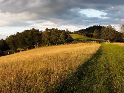 Apartment Ferienwohnung Auszeit - Outdoor photo 31