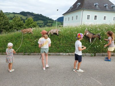 Apartment Ferienwohnung Auszeit - Outdoor photo 32