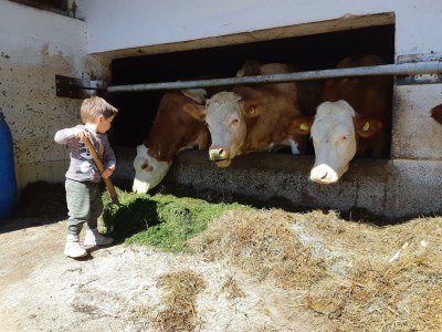 Apartment Ferienwohnung Auszeit - Outdoor photo 35