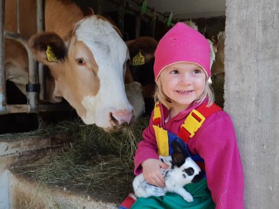 Apartment Ferienwohnung Auszeit - Outdoor photo 37