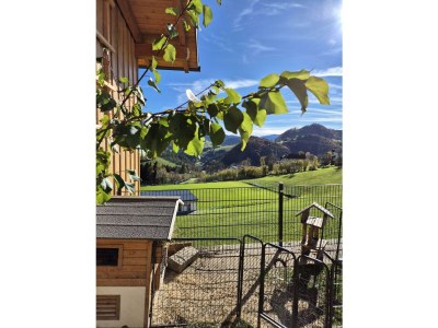 Apartment Ferienwohnung Auszeit - Outdoor photo 42