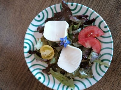 Holiday room Familienzimmer, Dusche, WC, 2 Schlafräume - Outdoor photo 11