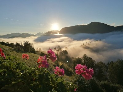 Holiday room Familienzimmer, Dusche, WC, 2 Schlafräume - Outdoor photo 13