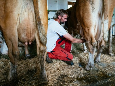 Holiday room Familienzimmer, Dusche, WC, 2 Schlafräume - Outdoor photo 18