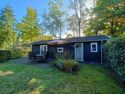 Holiday house Superieur 6 in Otterlo - Holiday house