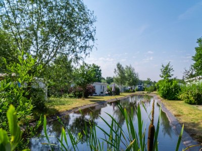 Holiday house Tiny House 4 - Outdoor photo 9